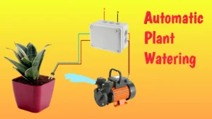 plant watering system